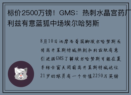 标价2500万镑!GMS:热刺水晶宫药厂利兹有意蓝狐中场埃尔哈努斯